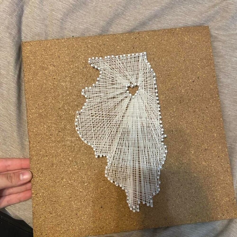 Illinois string art map